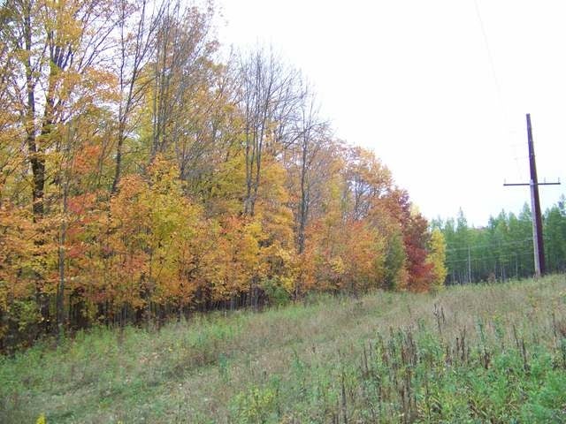 2819 St Louis Road Phelps, WI 54554 - Photo 14 of 17 Gallery Image 14