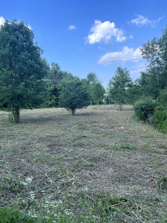 0 Rochester Road Leonard, MI 48367 - Photo 2 of 3