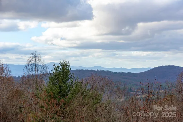 a view of a city and a mountain