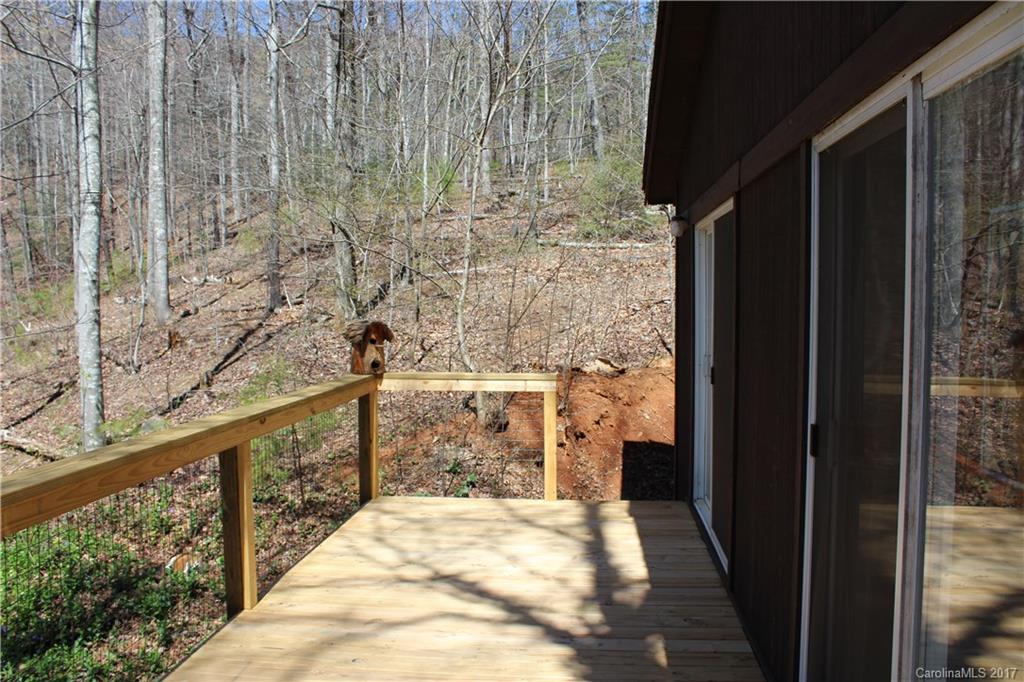 385 Judes Gap Road Mill Spring, NC 28756 - Photo 17 of 24