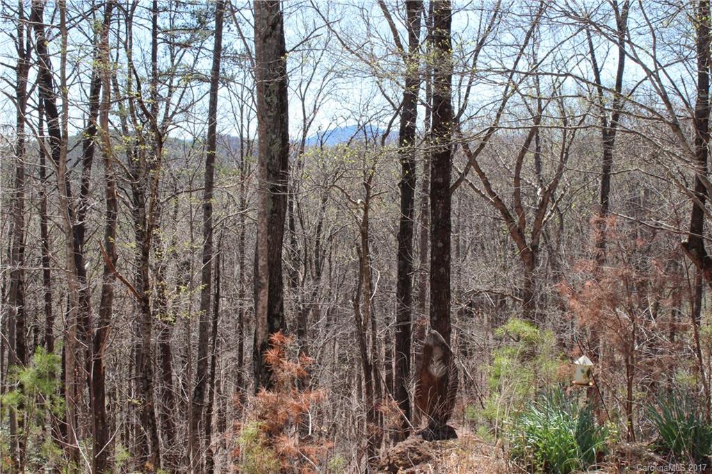 385 Judes Gap Road Mill Spring, NC 28756 - Photo 18 of 24