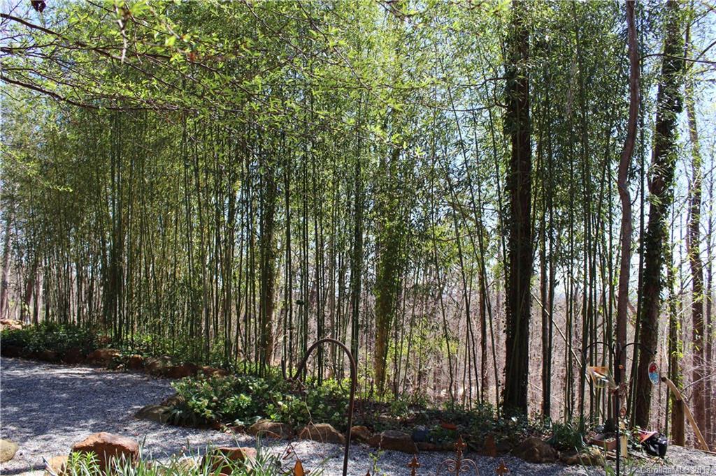 385 Judes Gap Road Mill Spring, NC 28756 - Photo 19 of 24