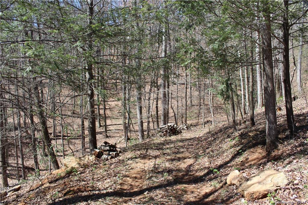 385 Judes Gap Road Mill Spring, NC 28756 - Photo 21 of 24