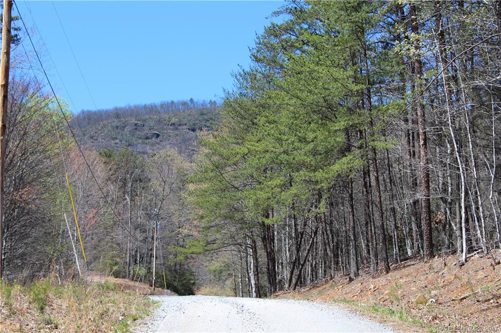 385 Judes Gap Road Mill Spring, NC 28756 - Photo 23 of 24