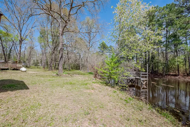 a view of backyard with large trees