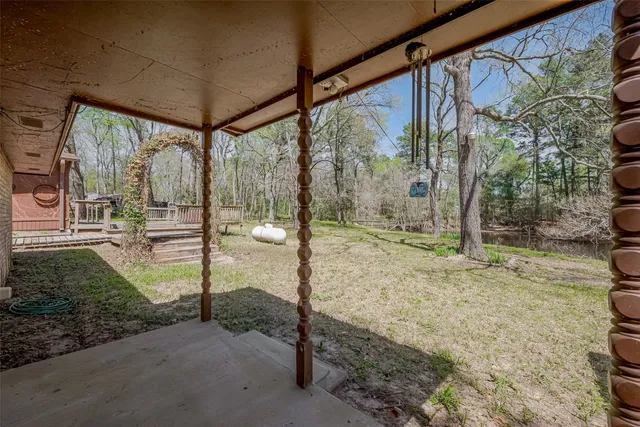 a view of a yard with a tree