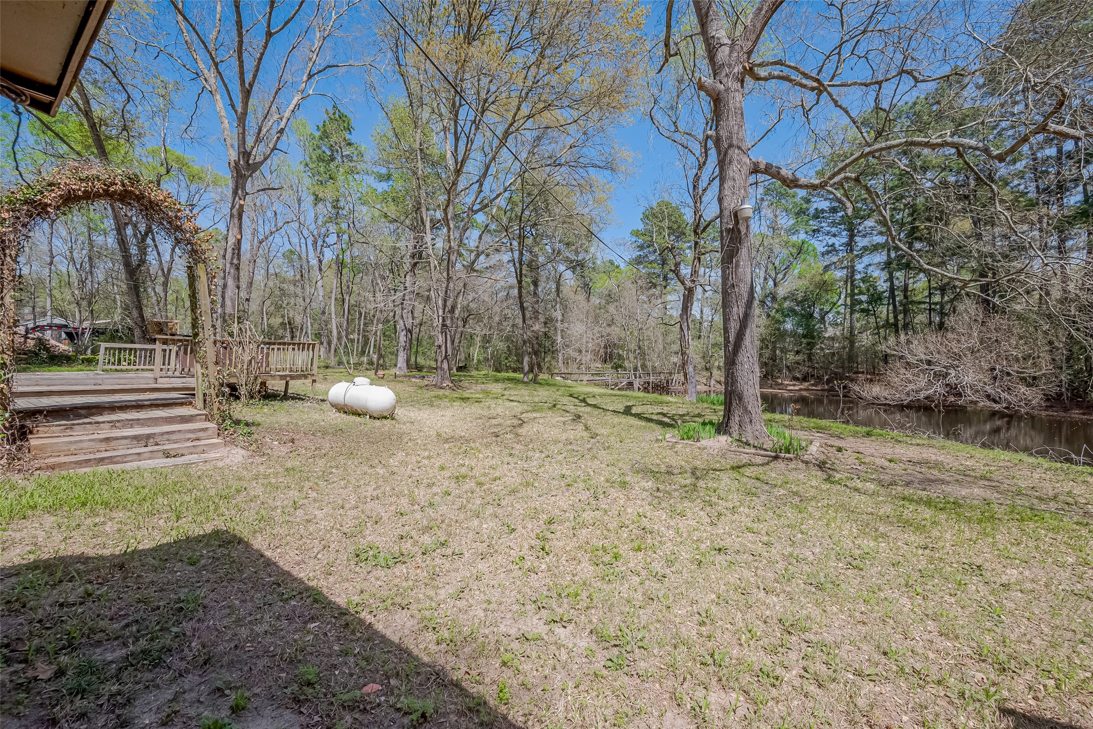 14 Veronica Lane Huntsville, TX 77340 - Photo 38 of 50 a view of a yard with a tree
