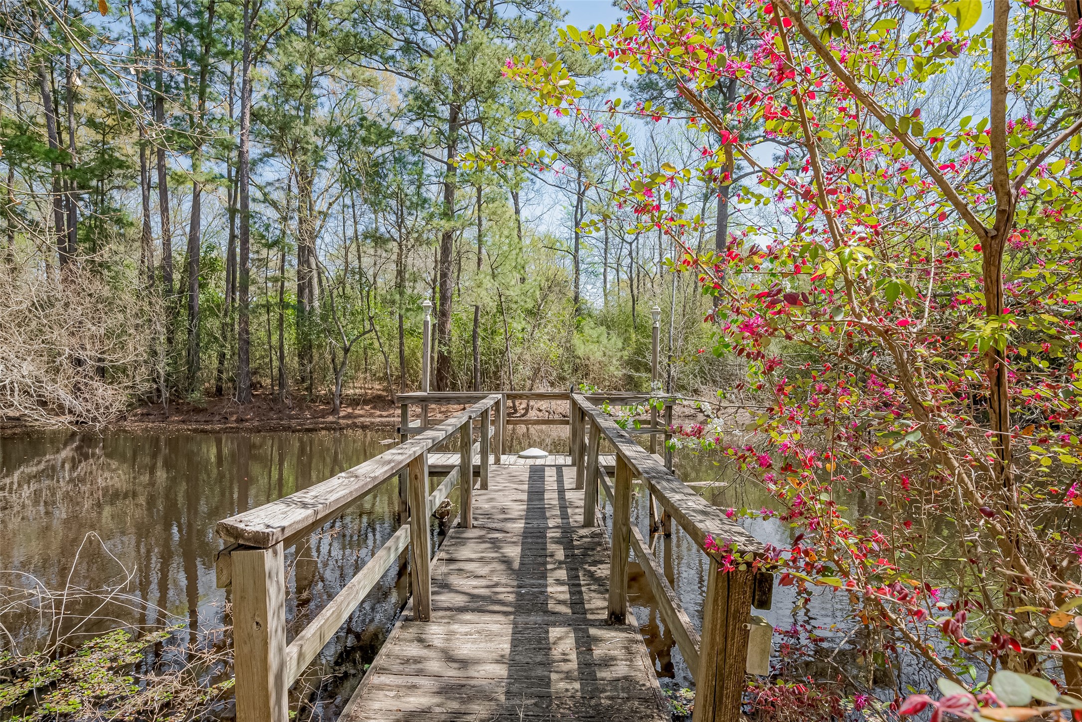 14 Veronica Lane Huntsville, TX 77340 - Photo 39 of 50 a view of a wooden bridge