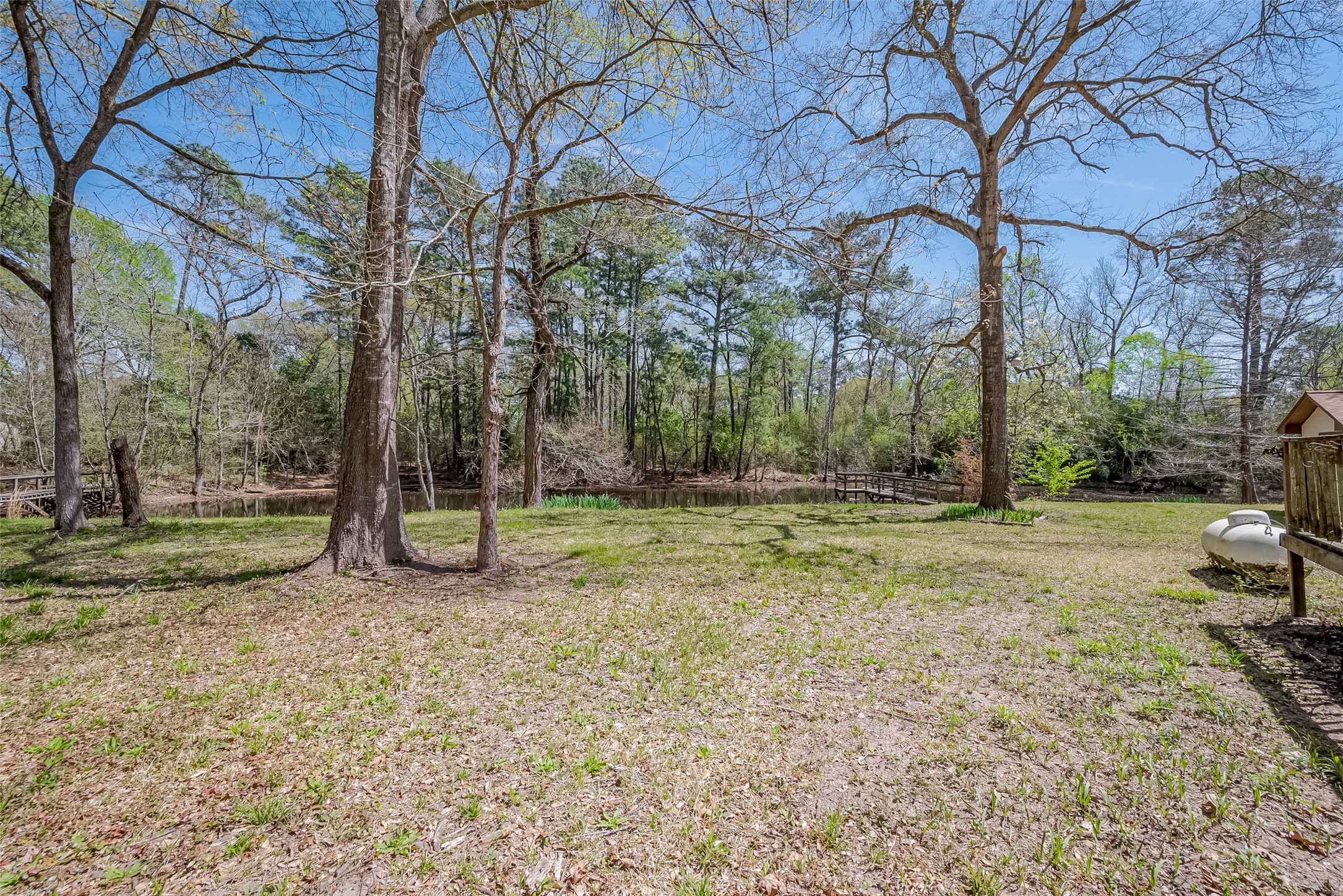 14 Veronica Lane Huntsville, TX 77340 - Photo 45 of 50 a view of a yard with a tree