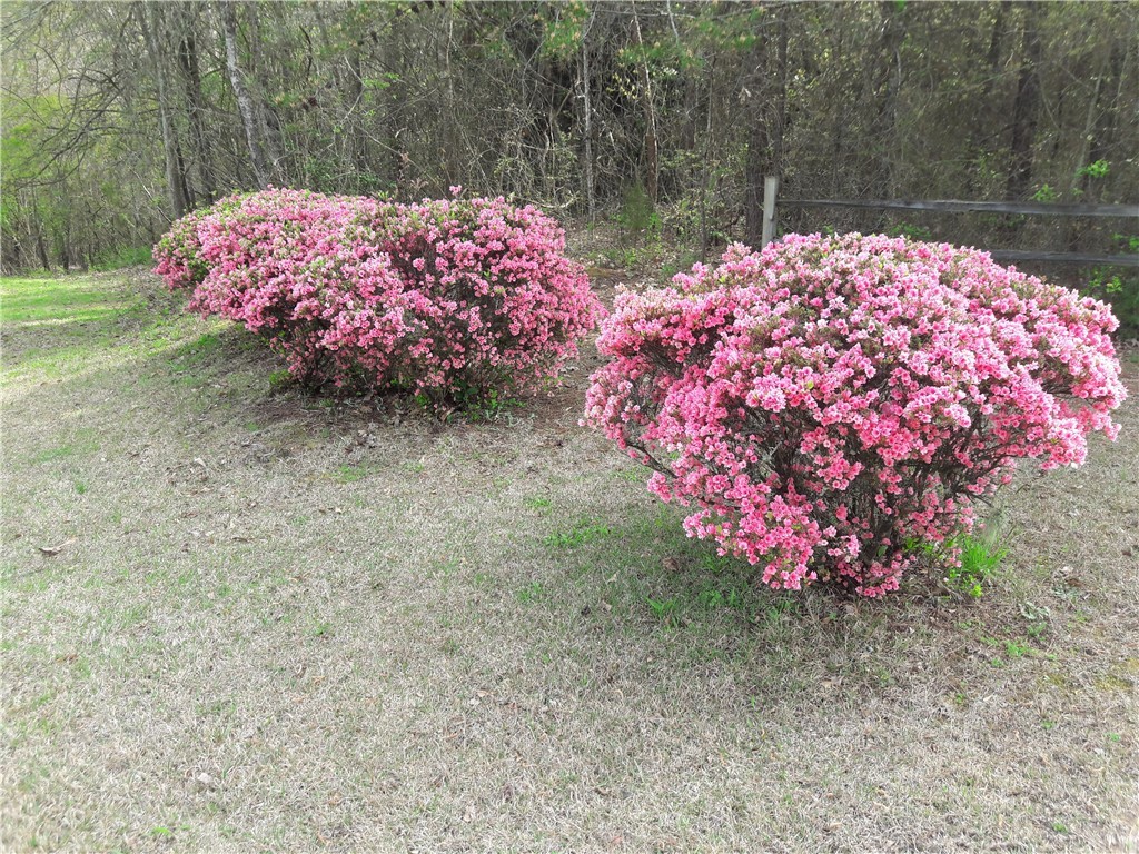 358 Lawrence Bridge Road Seneca, SC 29672 - Photo 8 of 24 Gallery Image 8