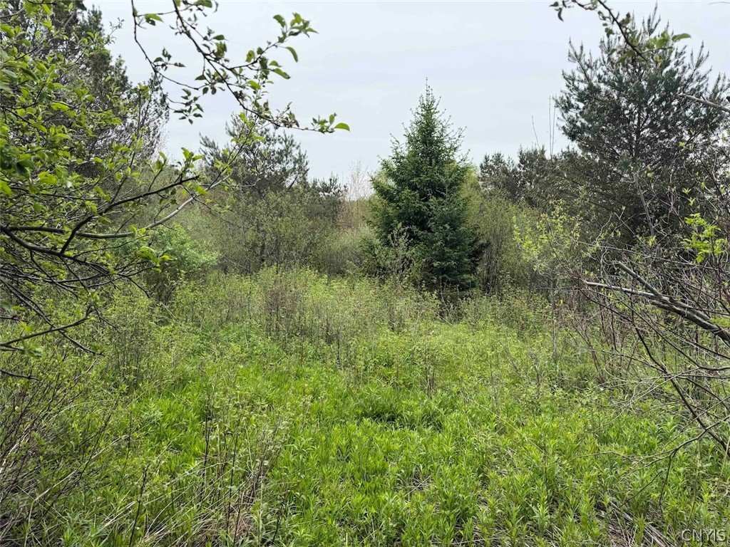 Reynolds Road Franklinville, NY 14737 - Photo 7 of 38