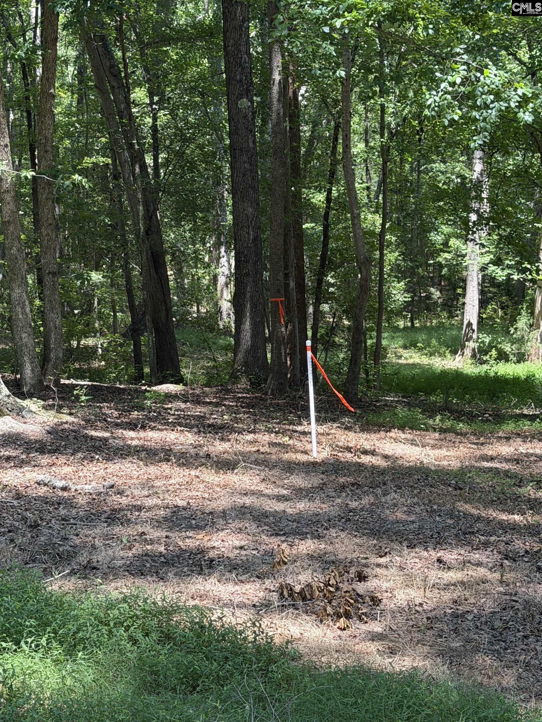 812 Sandfield Road Blythewood, SC 29016 - Photo 18 of 25
