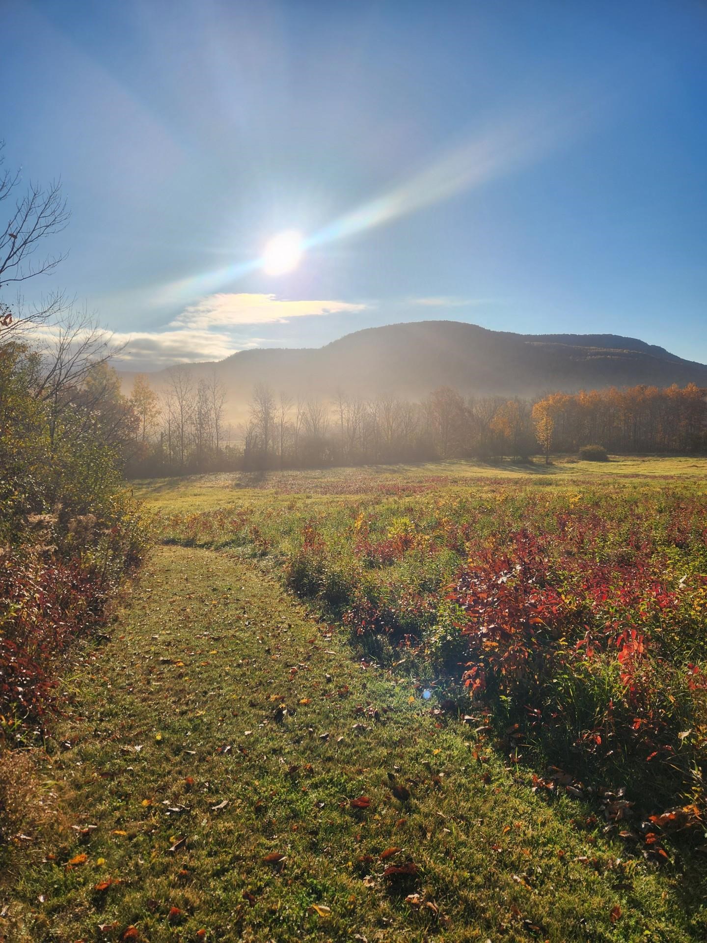 0 Route 22 A (5195) Route Addison, VT 05491 - Photo 1 of 10