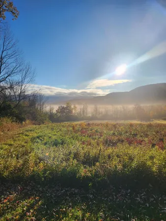 $150,000 | 0 Route 22 A (5195) Route, Addison, VT 05491