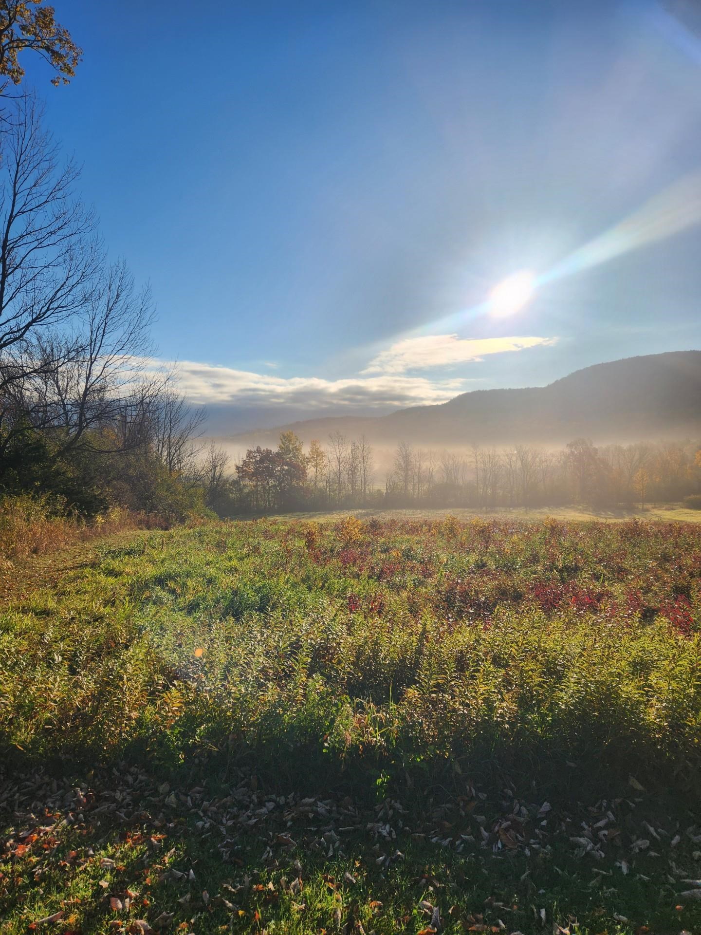 0 Route 22 A (5195) Route Addison, VT 05491 - Photo 2 of 10