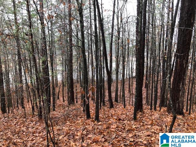 0 Lakeside Lane, Unit 31 Alpine, AL 35014 - Photo 38 of 42