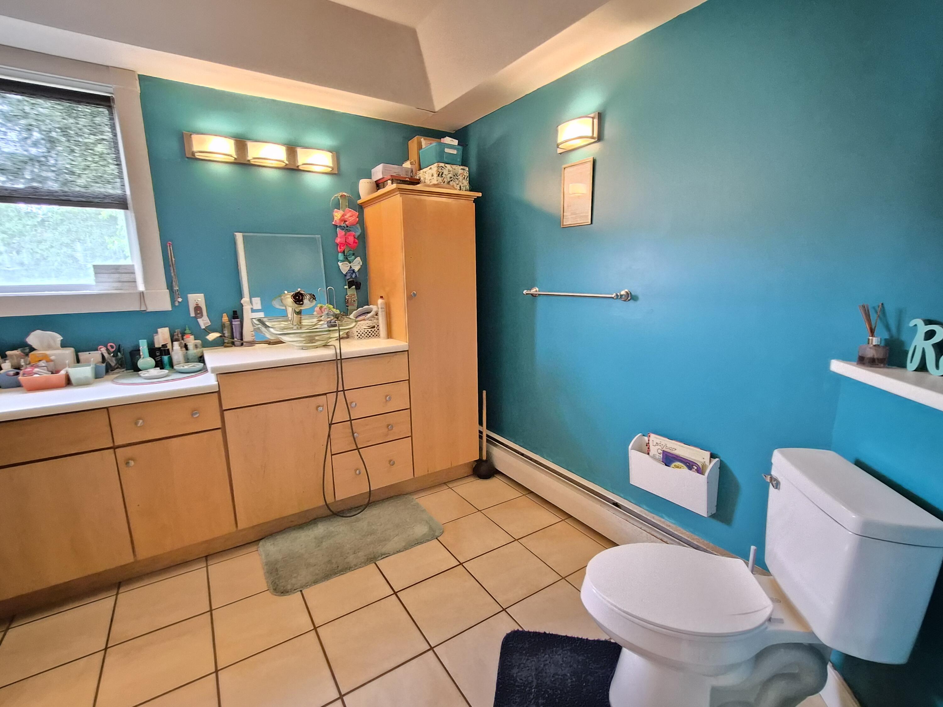 432 Auburn Road Peru, ME 04290 - Photo 26 of 89 20260730_145714
