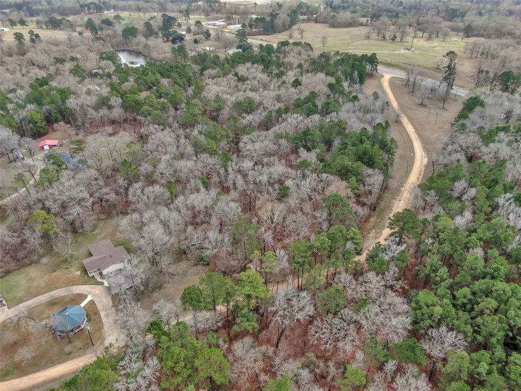 190 Hwy Point Point Blank, TX 77364 - Photo 10 of 13 a view of a yard with a tree