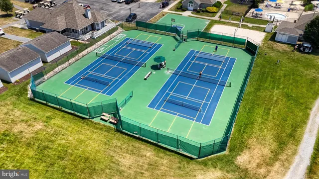 an aerial view of a tennis ground with a large trees
