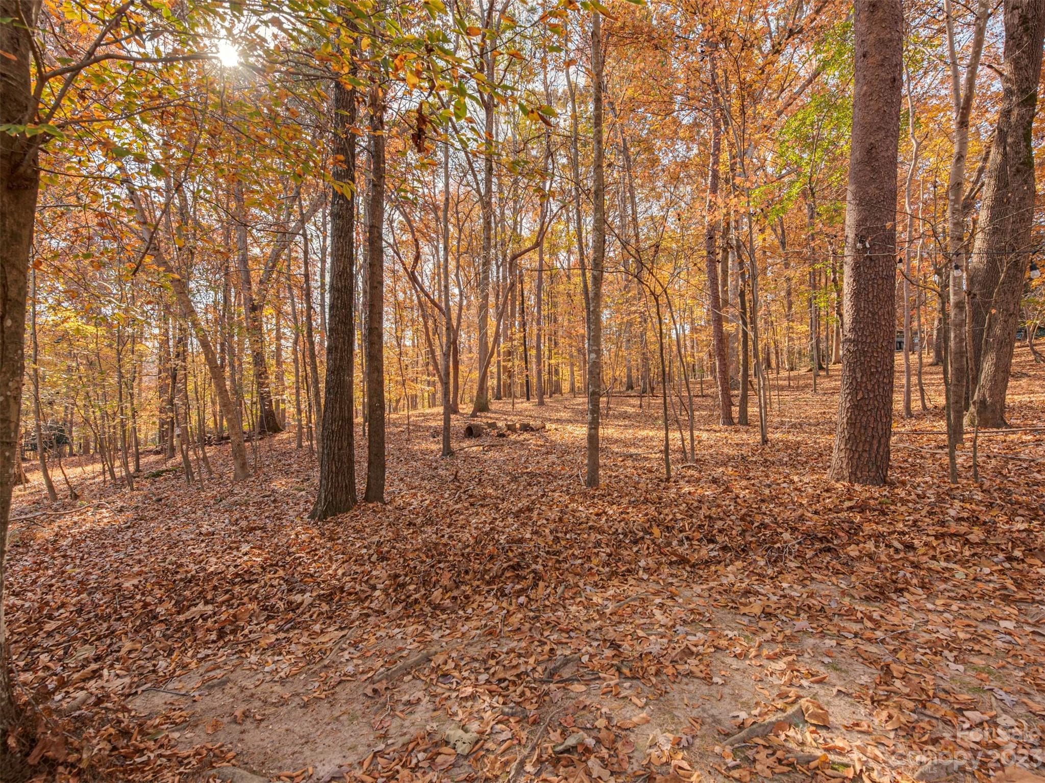 3101 High Ridge Road Charlotte, NC 28270 - Photo 40 of 45 a view of backyard space