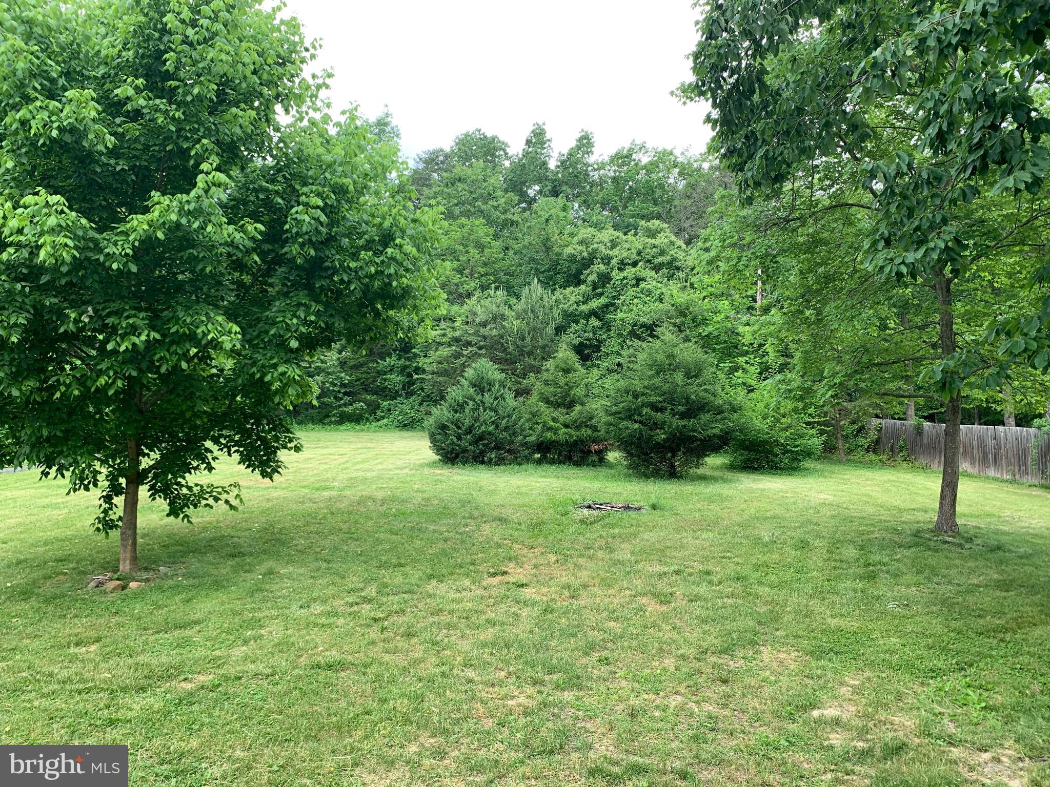 1088 Pine Ridge Drive Front Royal, VA 22630 - Photo 14 of 16 Large front yard with lots of privacy from road