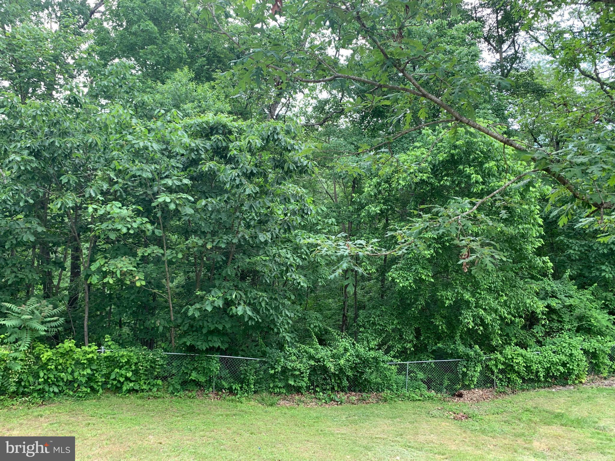 1088 Pine Ridge Drive Front Royal, VA 22630 - Photo 16 of 16 3+ acres plenty of privacy