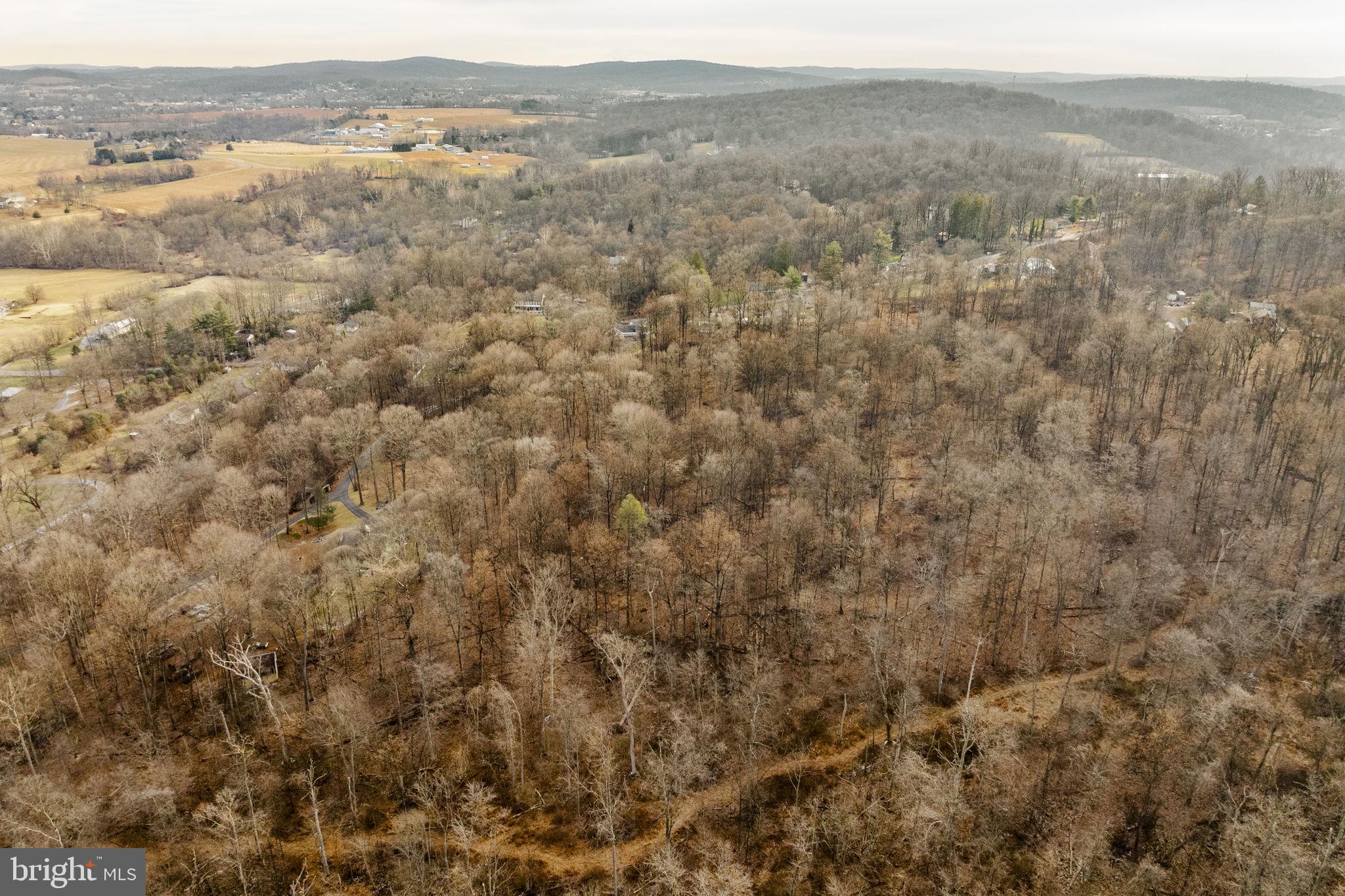 105 Wollups Hill Road Denver, PA 17517 - Photo 7 of 14 a view of a forest with trees in the background