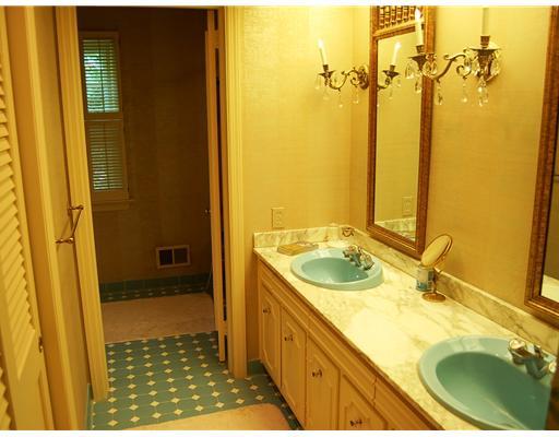 797 Elm Spring Road Mt. Lebanon, PA 15243 - Photo 12 of 18 Master Bath/Spa.
