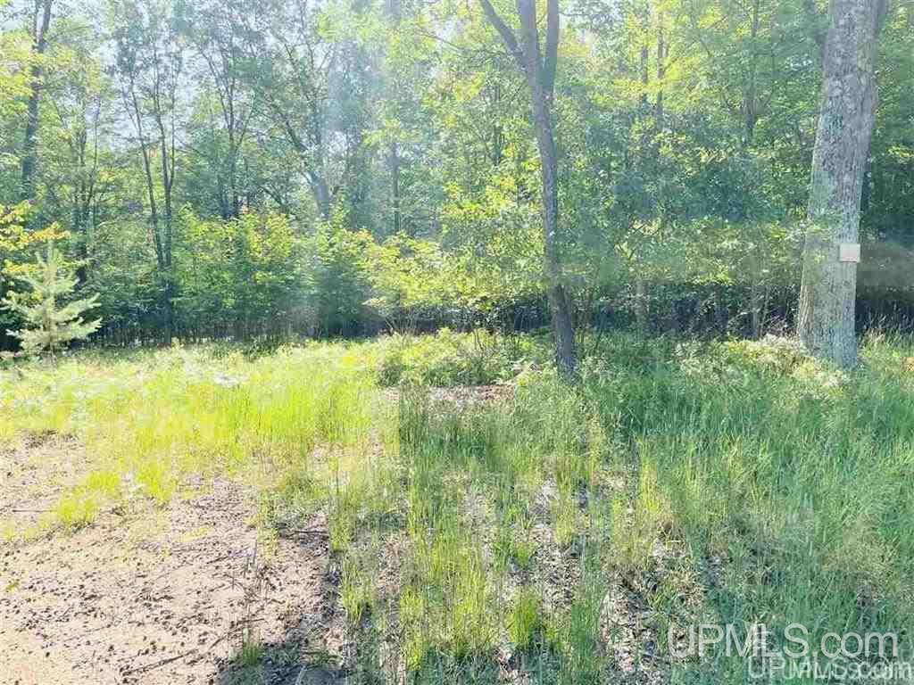 57 Tipperary Road Gladstone, MI 49837 - Photo 17 of 20