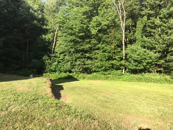 18 Pine Ridge Road Montgomery, MA 01085 - Photo 7 of 30 a view of yard with green space and trees