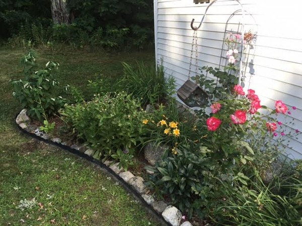18 Pine Ridge Road Montgomery, MA 01085 - Photo 8 of 30 a picture of flowers