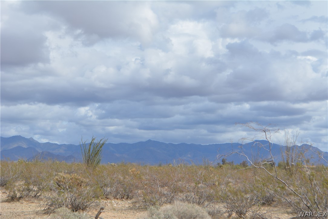 A4 South Carmen Road Yucca, AZ 86438 - Photo 17 of 23 Gallery Image 17