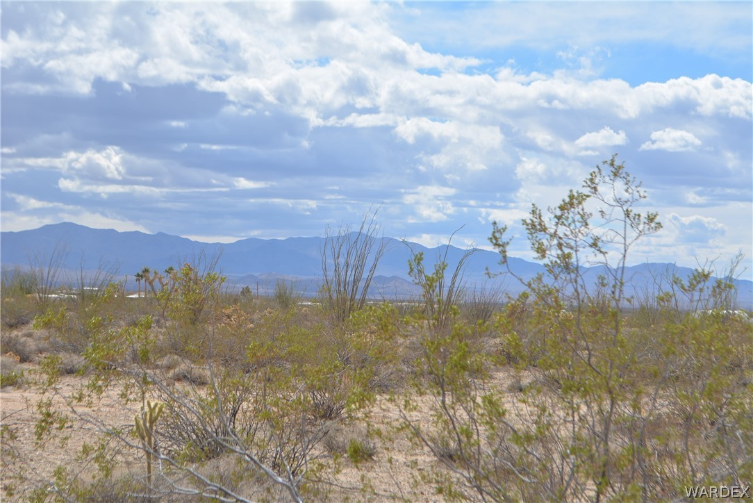 A4 South Carmen Road Yucca, AZ 86438 - Photo 3 of 23 Gallery Image 3
