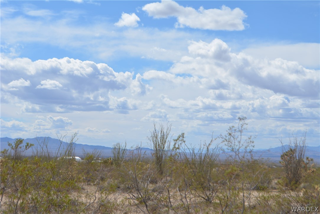 A4 South Carmen Road Yucca, AZ 86438 - Photo 4 of 23 Gallery Image 4
