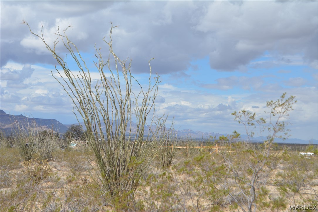 A4 South Carmen Road Yucca, AZ 86438 - Photo 10 of 23 Gallery Image 10