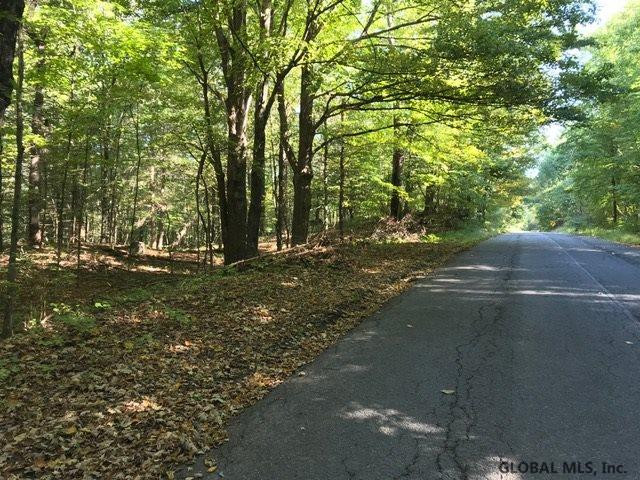 0 Dunnigan Road Salem, NY 12865 - Photo 1 of 10 Photo 1