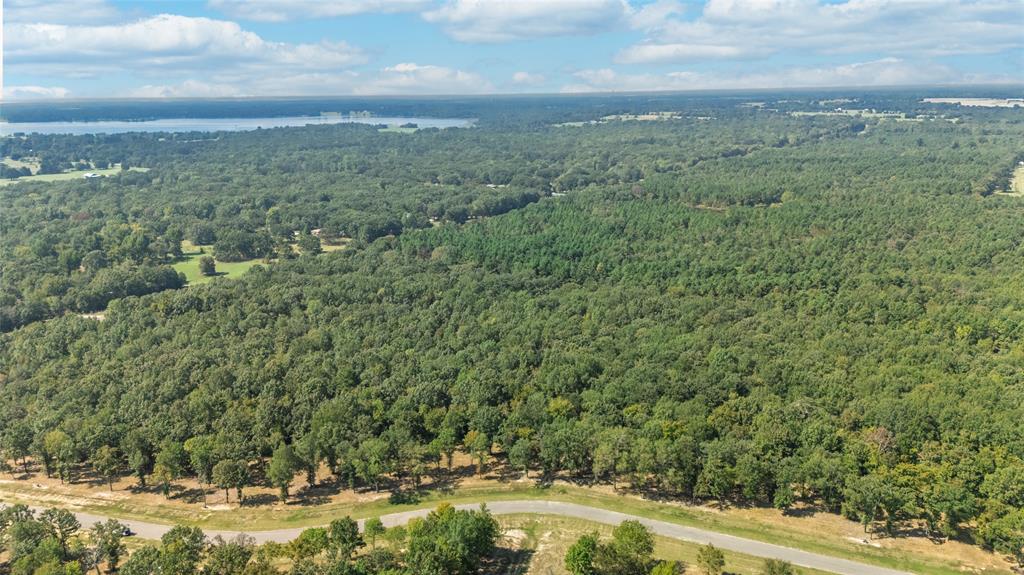 Tbd Tbd Angler Shores Yantis, TX 75497 - Photo 1 of 19 a view of a yard with an outdoor space