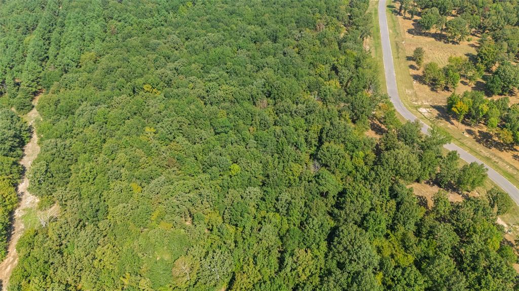 Tbd Tbd Angler Shores Yantis, TX 75497 - Photo 11 of 19 a view of a forest with a tree
