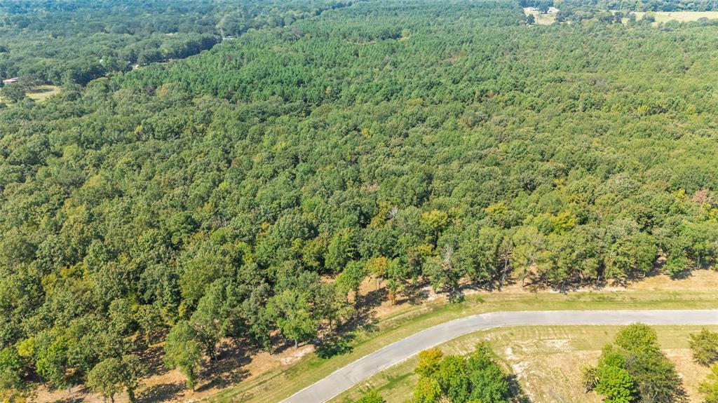 Tbd Tbd Angler Shores Yantis, TX 75497 - Photo 12 of 19 a view of a yard with a lake view
