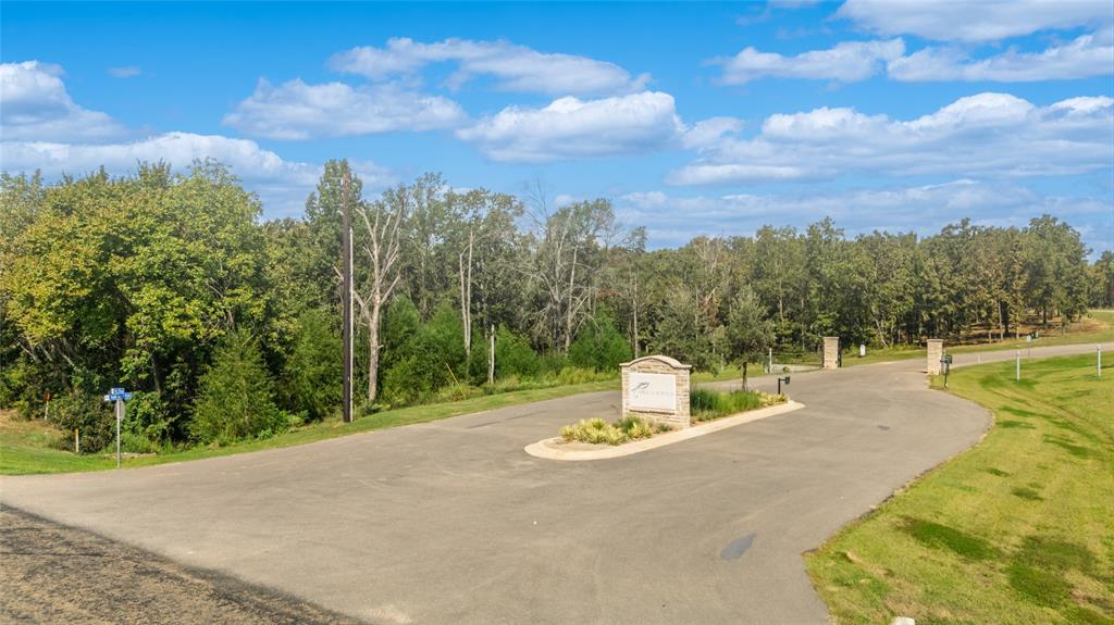 Tbd Tbd Angler Shores Yantis, TX 75497 - Photo 14 of 19 a view of a fountain with tree in the background