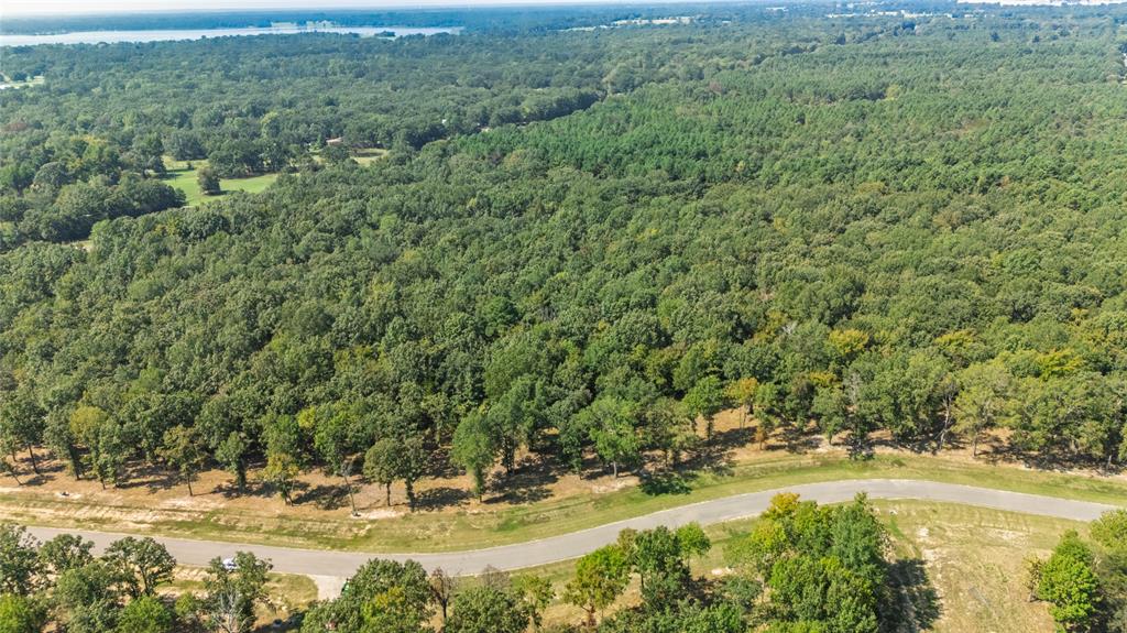 Tbd Tbd Angler Shores Yantis, TX 75497 - Photo 19 of 19 a view of a yard with a tree