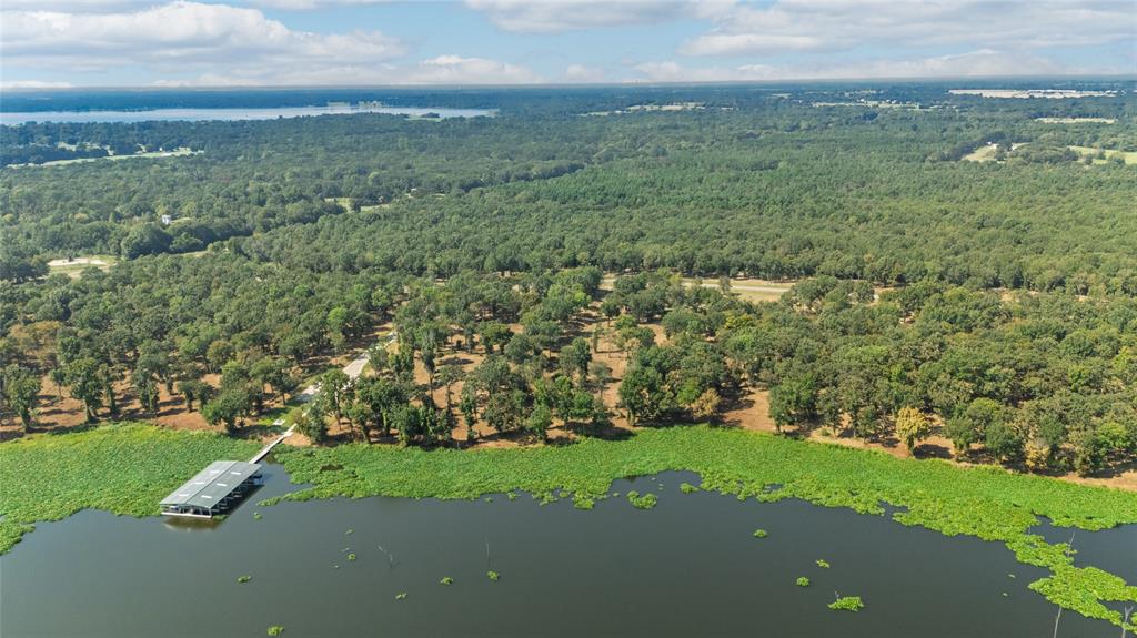 Tbd Tbd Angler Shores Yantis, TX 75497 - Photo 2 of 19 a view of a field with large trees