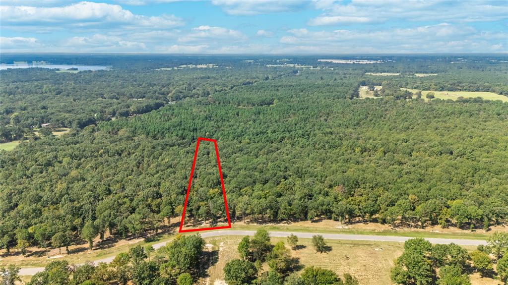 Tbd Tbd Angler Shores Yantis, TX 75497 - Photo 3 of 19 a view of a water with a large building