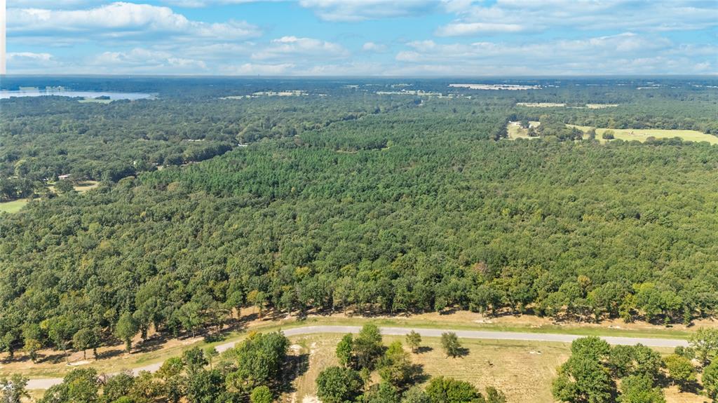 Tbd Tbd Angler Shores Yantis, TX 75497 - Photo 4 of 19 a view of a lake view