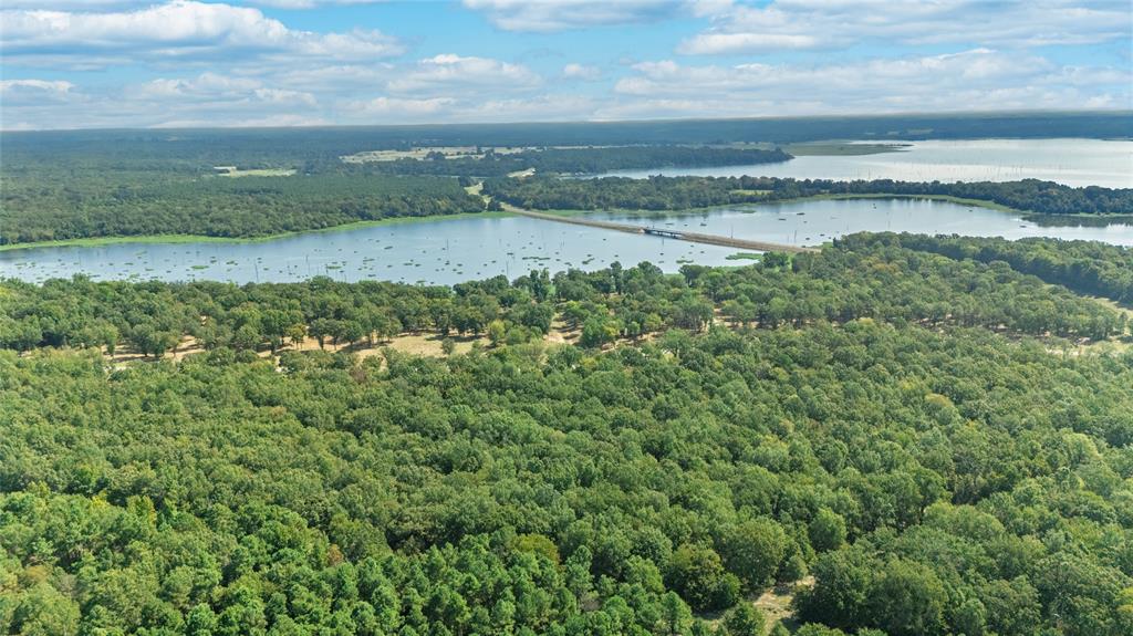 Tbd Tbd Angler Shores Yantis, TX 75497 - Photo 6 of 19 a view of a lake with a city