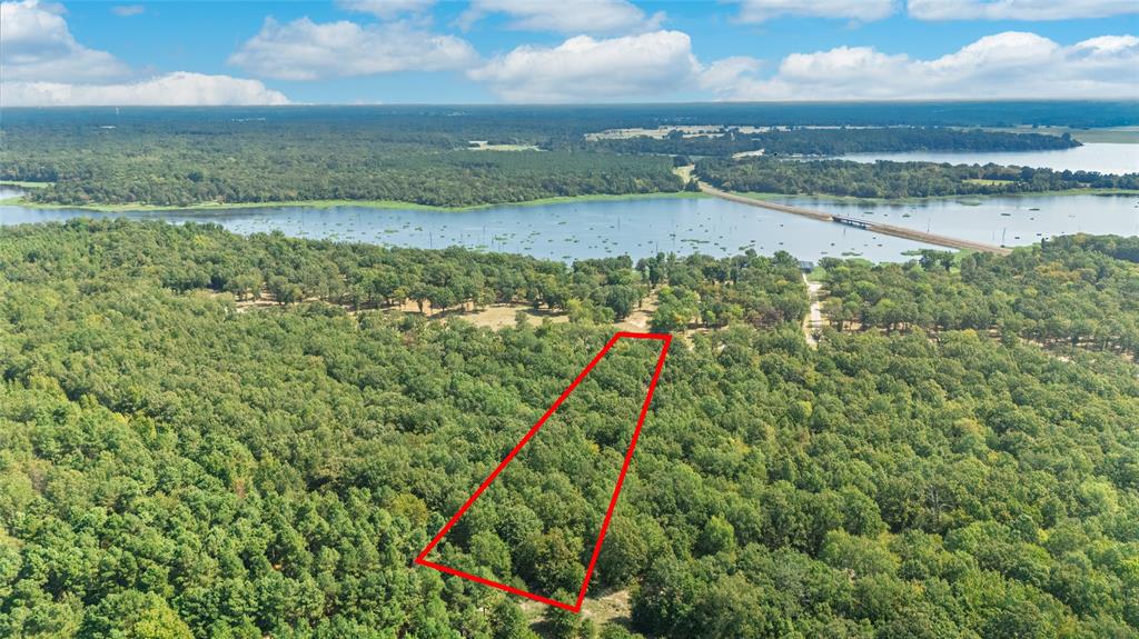 Tbd Tbd Angler Shores Yantis, TX 75497 - Photo 7 of 19 a view of a lake from a yard