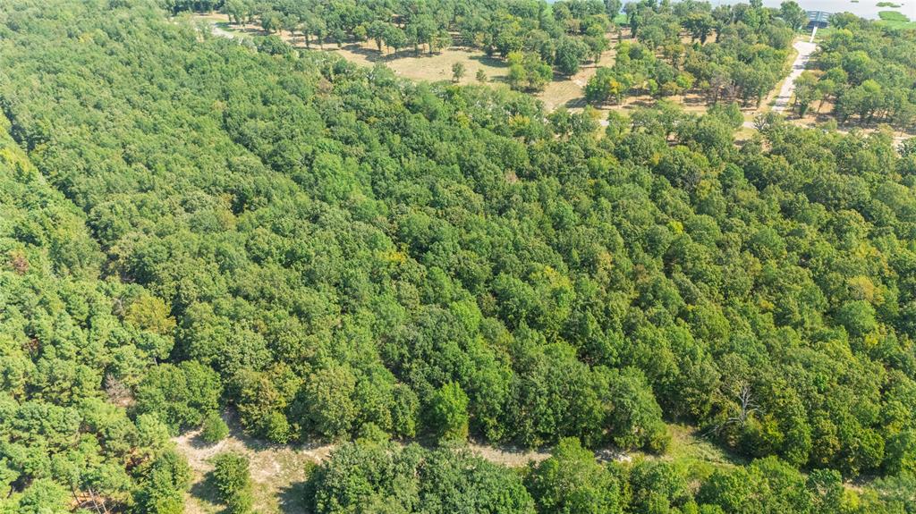 Tbd Tbd Angler Shores Yantis, TX 75497 - Photo 10 of 19 a view of a lush green field