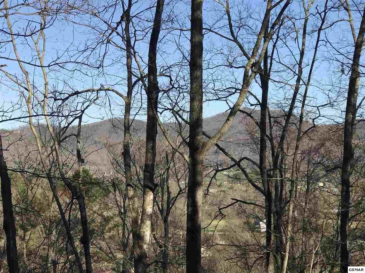 0 Hatcher Mountain Road Sevierville, TN 37862 - Photo 1 of 4