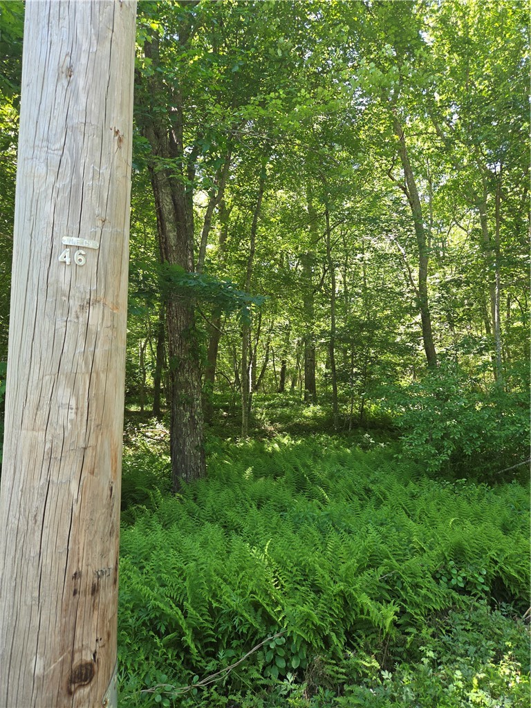85 Diamond Hill Road Hopkinton, RI 02808 - Photo 5 of 8