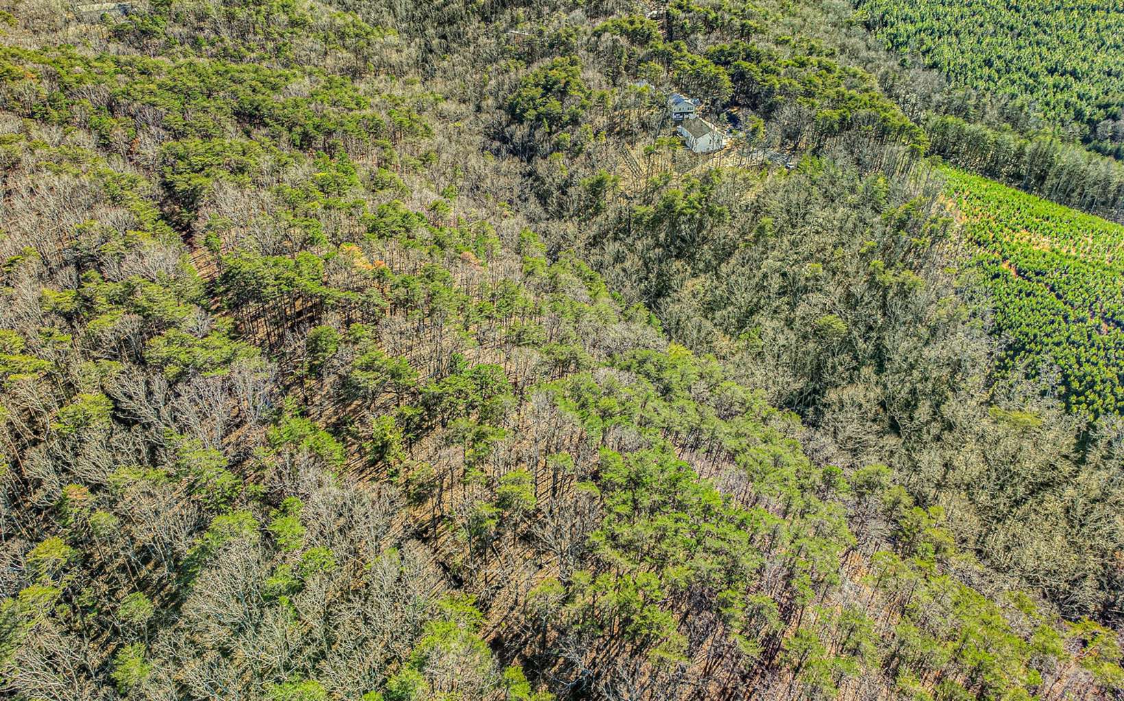 Lt374 Quartz Court Jasper, GA 30143 - Photo 13 of 20 Additional View